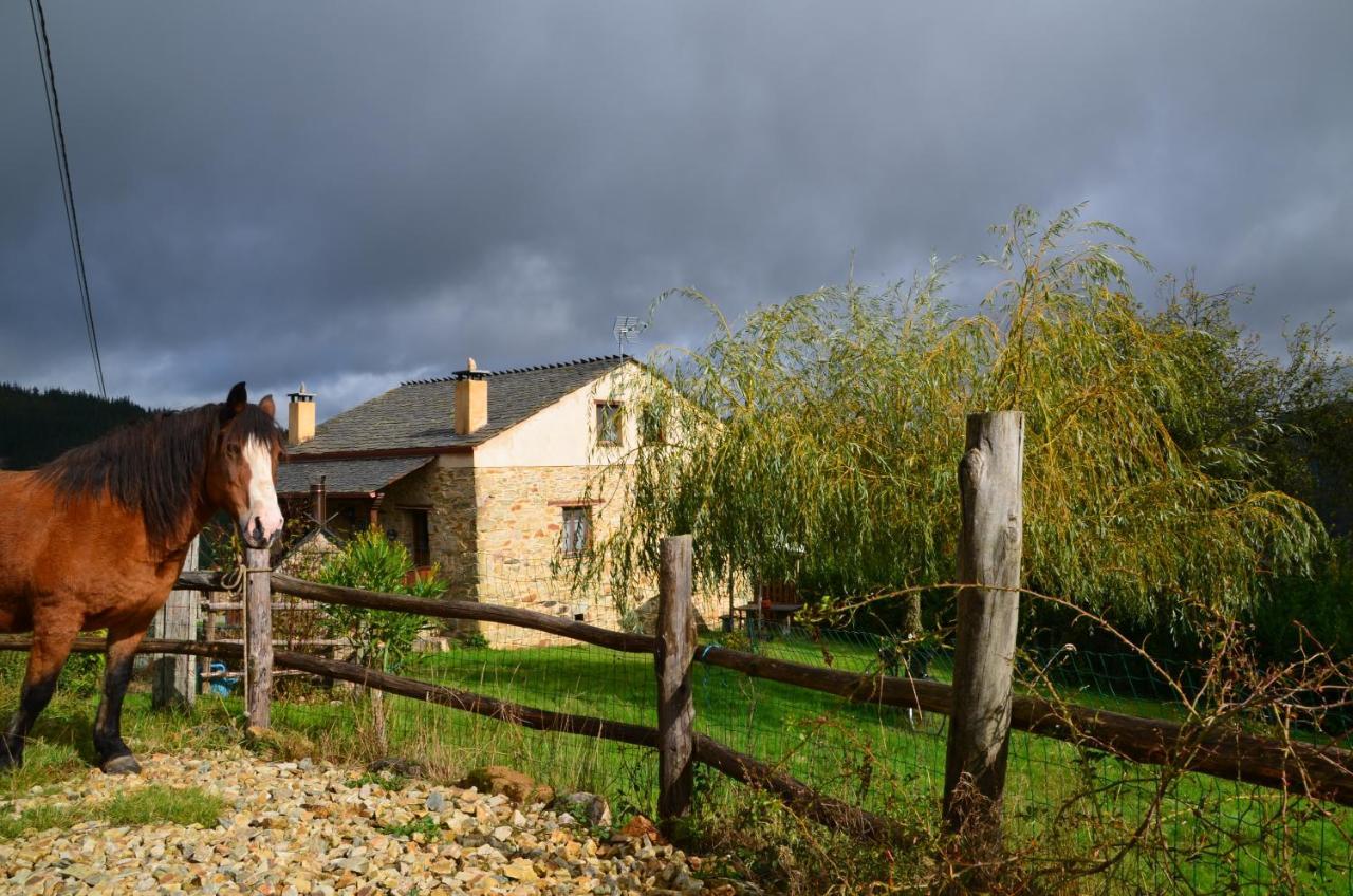 Apartamentos Rurales Tia Vicenta Santa Eulalia de Oscos Eksteriør bilde